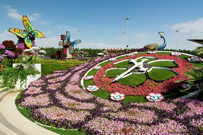 Dubais Miracle Garden Adalah Kehidupan Nyata Alice in Wonderland 